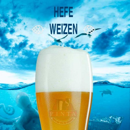 kit birra artigianale acquisto e vendita on line