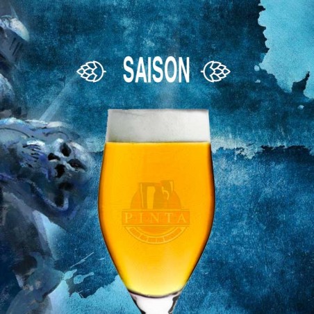 kit birra artigianale acquisto e vendita on line