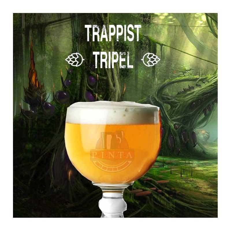 BMK KIT ALLGRAIN - BELGIAN TRIPEL