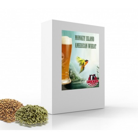 kit birra artigianale acquisto e vendita on line