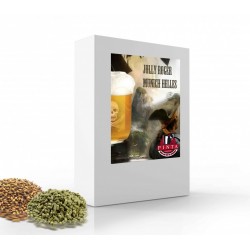 kit birra artigianale acquisto e vendita on line