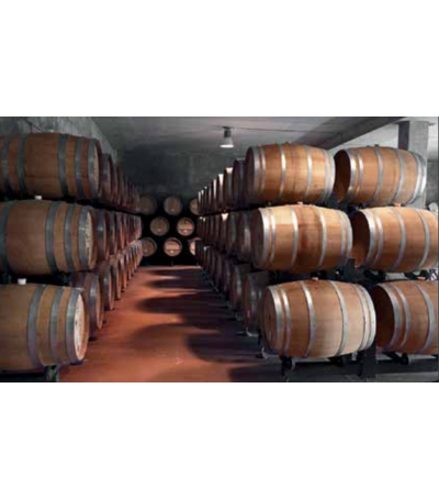 Attrezzatura per cantina acquisto e vendita on line