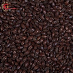 Malti per birra artigianale acquisto e vendita on line