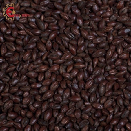 Malti per birra artigianale acquisto e vendita on line