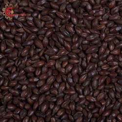 Malti per birra artigianale acquisto e vendita on line