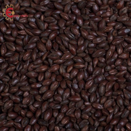 Malti per birra artigianale acquisto e vendita on line