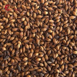 Malti per birra artigianale acquisto e vendita on line