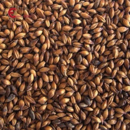 Malti per birra artigianale acquisto e vendita on line