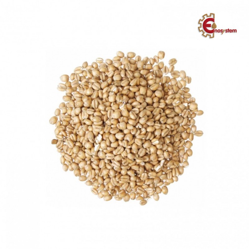 Torrified Wheat Malt kg.5 Torrified Wheat Malt kg.5