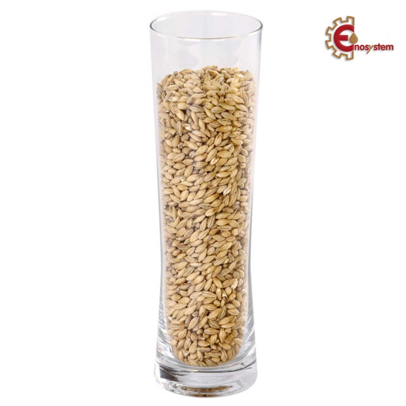 Ireks Malto Pilsner kg.5