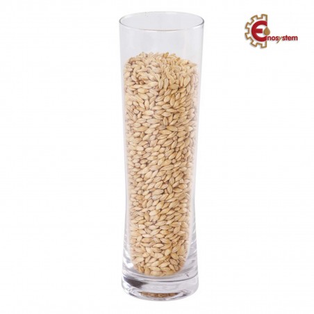 Malti per birra artigianale acquisto e vendita on line