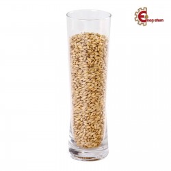 Malti per birra artigianale acquisto e vendita on line