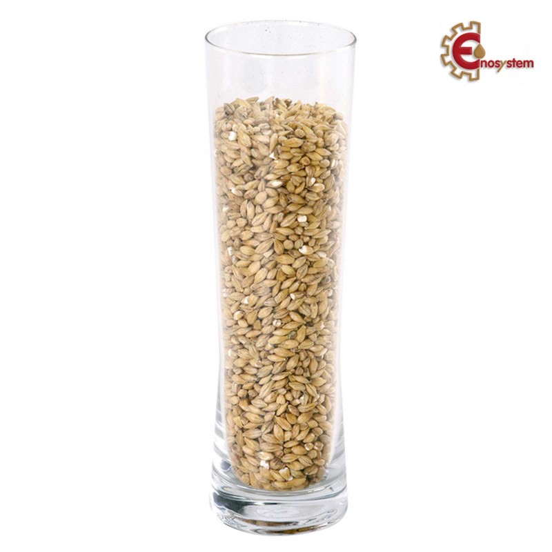 Ireks Premium Sauer Maltz kg.5 Ireks Premium Sauer Maltz kg.5