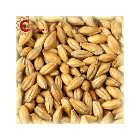 Malti per birra artigianale acquisto e vendita on line