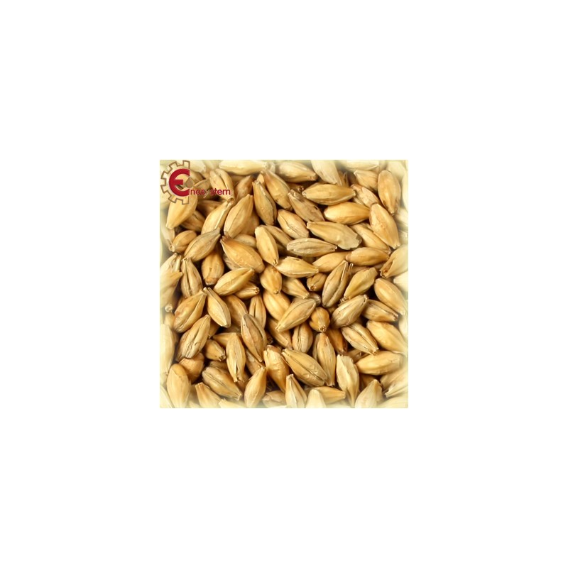 Château Diastatico kg.5