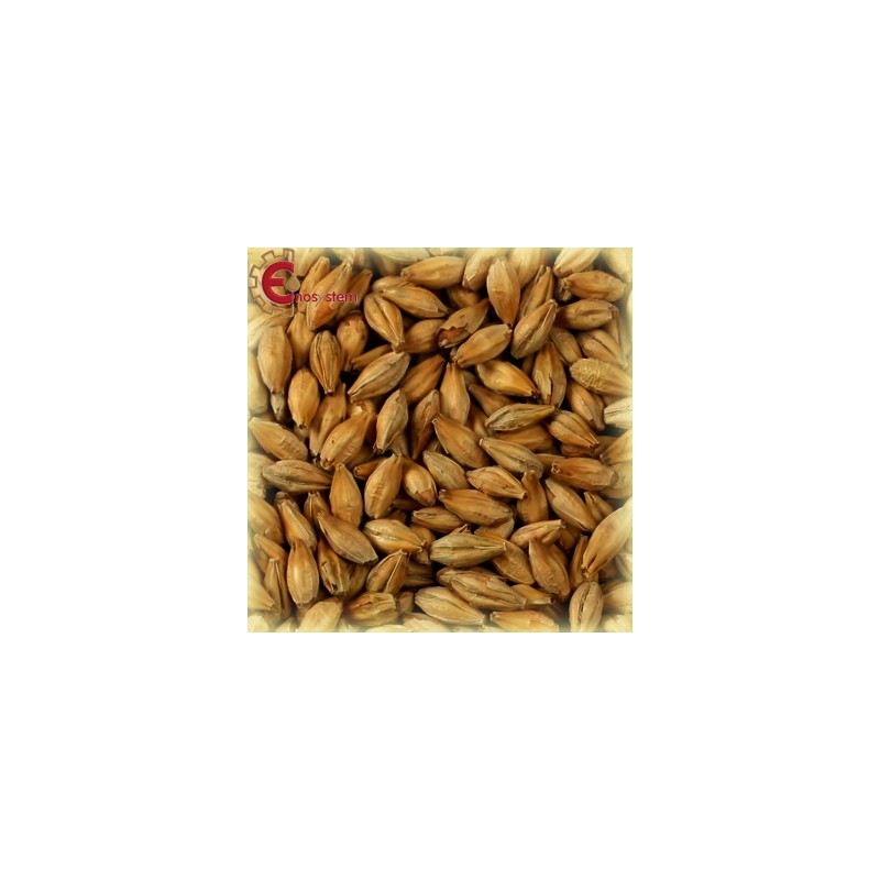 Château Abbey kg.5