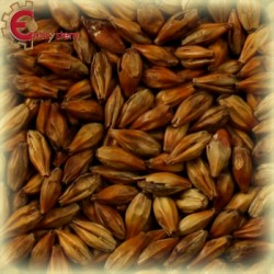 Malti per birra artigianale acquisto e vendita on line