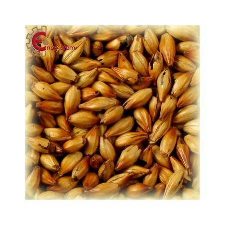 Malti per birra artigianale acquisto e vendita on line