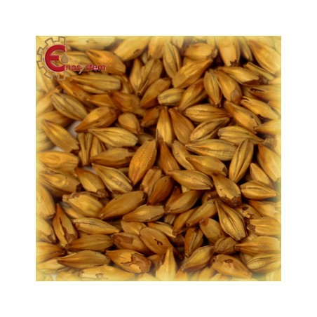 Malti per birra artigianale acquisto e vendita on line