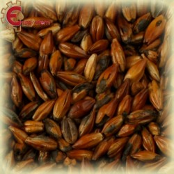 Malti per birra artigianale acquisto e vendita on line