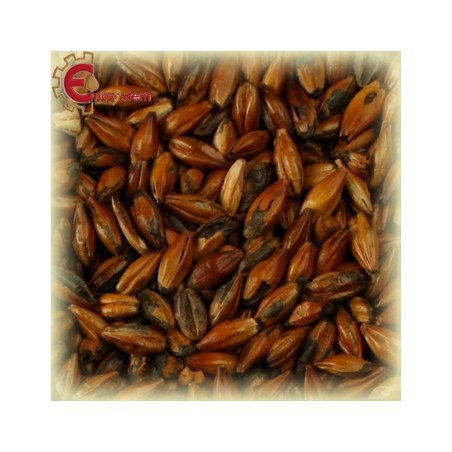 Malti per birra artigianale acquisto e vendita on line