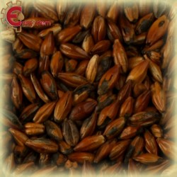 Malti per birra artigianale acquisto e vendita on line