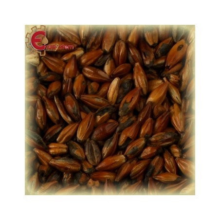 Malti per birra artigianale acquisto e vendita on line