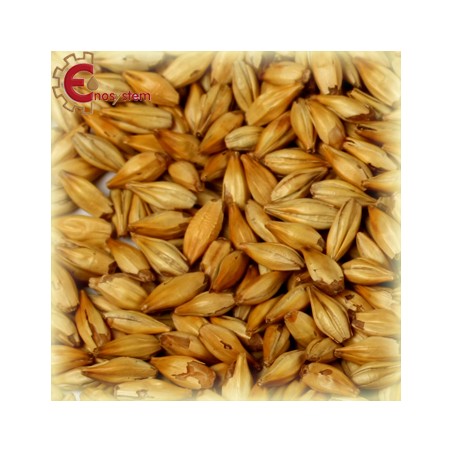 Malti per birra artigianale acquisto e vendita on line