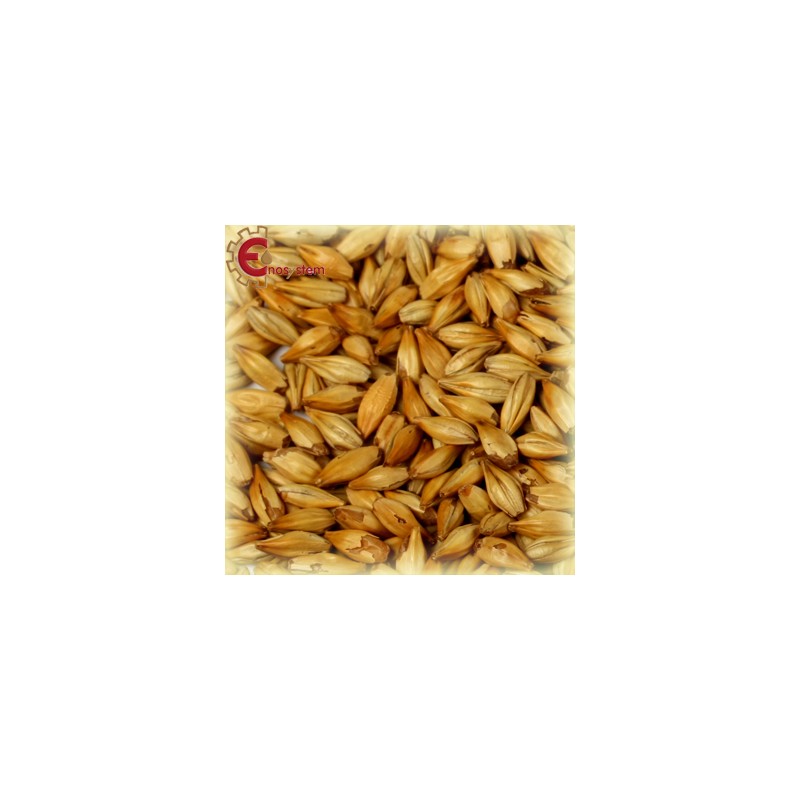 Château Wheat Munich kg.5 Château Wheat Munich kg.5