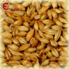 Château Wheat Munich kg.5 Château Wheat Munich kg.5