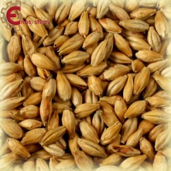 Malti per birra artigianale acquisto e vendita on line