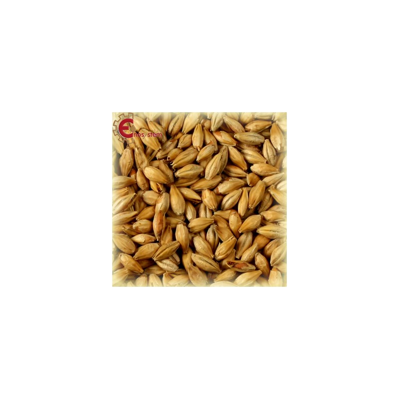 Château Munich Light kg.5 Château Munich Light kg.5