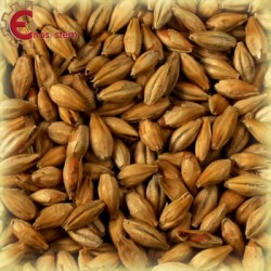 Malti per birra artigianale acquisto e vendita on line