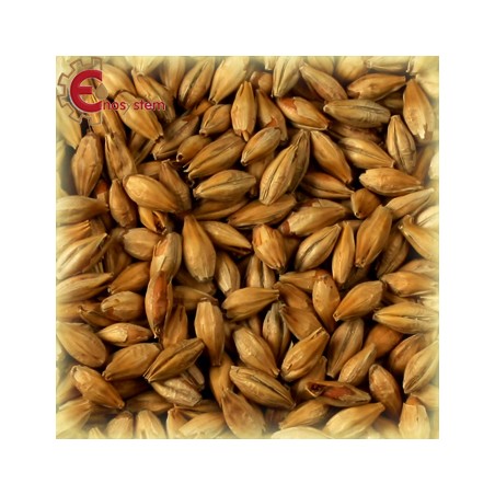 Malti per birra artigianale acquisto e vendita on line