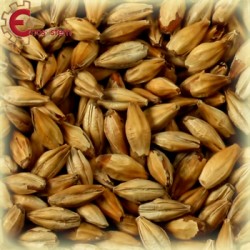 Malti per birra artigianale acquisto e vendita on line