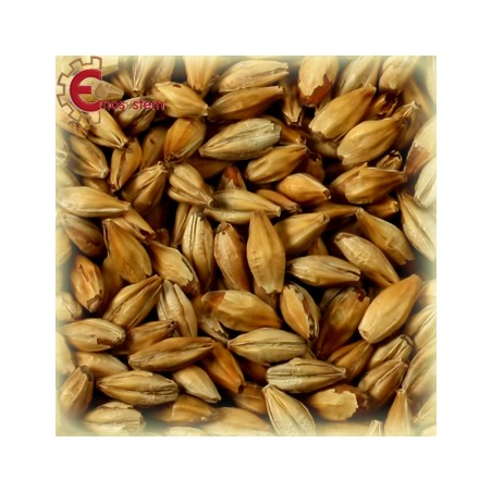 Malti per birra artigianale acquisto e vendita on line