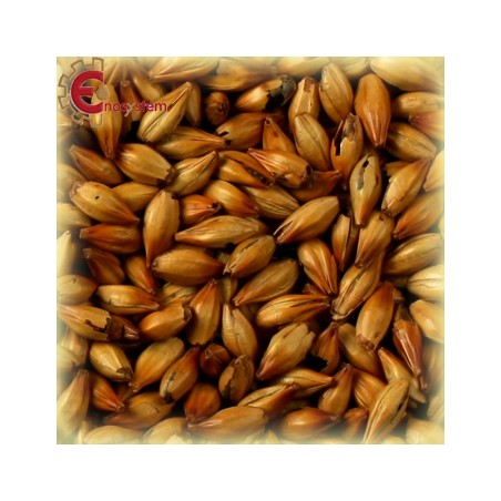 Malti per birra artigianale acquisto e vendita on line