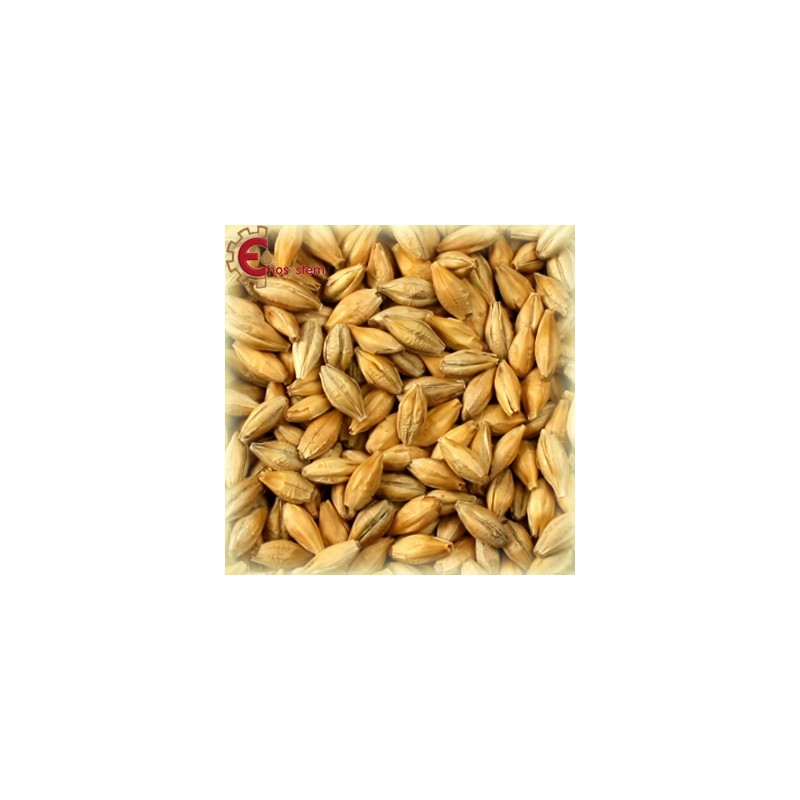 Château Pale Ale kg.5 Château Pale Ale kg.5