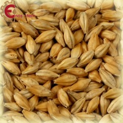 Malti per birra artigianale acquisto e vendita on line