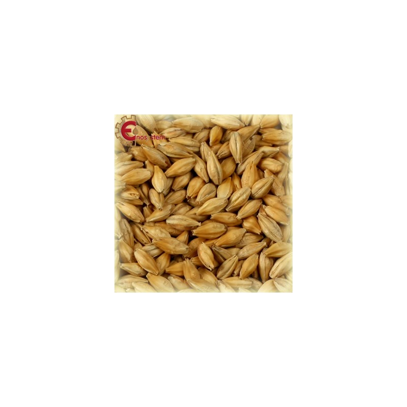 Château Vienna kg.5 Château Vienna kg.5