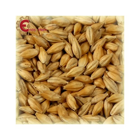 Malti per birra artigianale acquisto e vendita on line