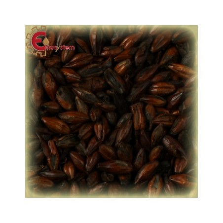 Malto per birra artigianale acquisto e vendita on line