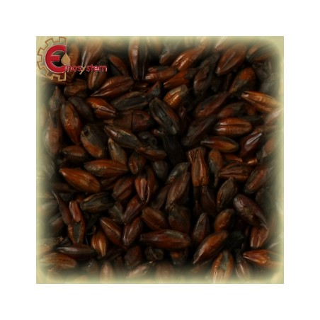 Malto per birra artigianale acquisto e vendita on line