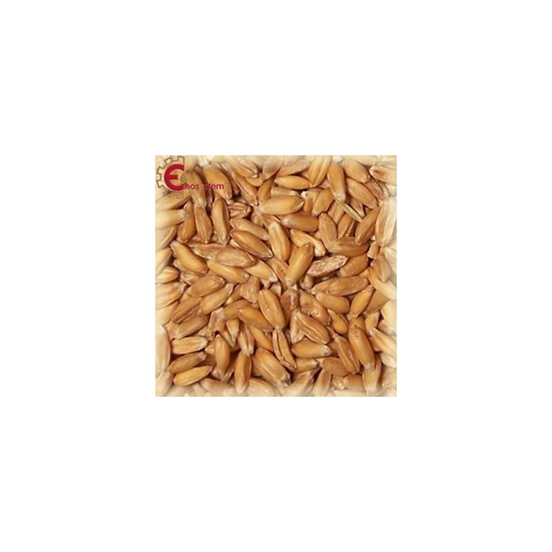 Château Spelt (farro) kg.5