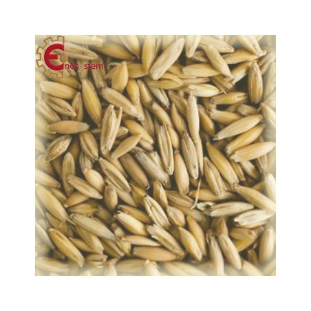 Malto per birra artigianale acquisto e vendita on line