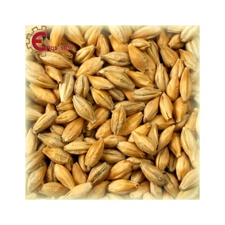 Malto per birra artigianale acquisto e vendita on line