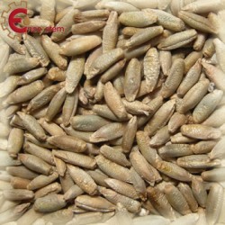 Malto per birra artigianale acquisto e vendita on line