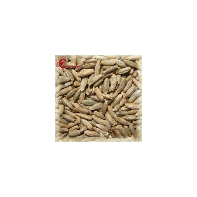 Château Rye kg.5 Château Rye kg.5