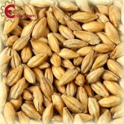 Malto per birra artigianale acquisto e vendita on line