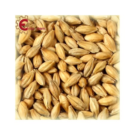 Malto per birra artigianale acquisto e vendita on line